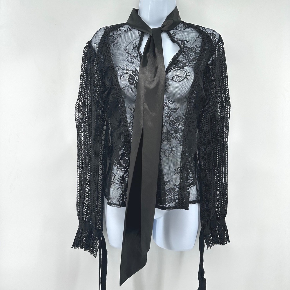 Sheer Lace Blouse Top Whimsigoth Witchy Victorian Tie Neck Romantic Womens M